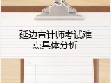 延边审计师考试难点具体分析
