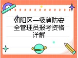 朝阳区一级消防安全管理员报考资格详解