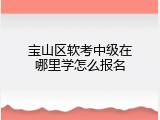 宝山区软考中级在哪里学怎么报名