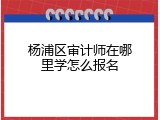 杨浦区审计师在哪里学怎么报名