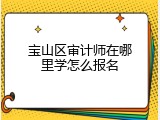 宝山区审计师在哪里学怎么报名
