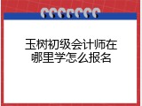玉树初级会计师在哪里学怎么报名