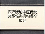 西双版纳中医传统师承培训机构哪个最好