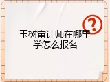 玉树审计师在哪里学怎么报名