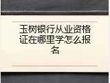 玉树银行从业资格证在哪里学怎么报名