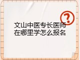 文山中医专长医师在哪里学怎么报名
