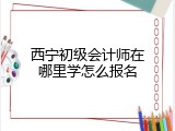 西宁初级会计师在哪里学怎么报名