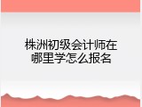 株洲初级会计师在哪里学怎么报名