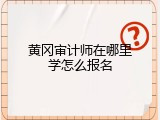黄冈审计师在哪里学怎么报名