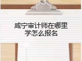 咸宁审计师在哪里学怎么报名