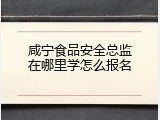 咸宁食品安全总监在哪里学怎么报名