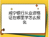 咸宁银行从业资格证在哪里学怎么报名