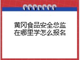 黄冈食品安全总监在哪里学怎么报名