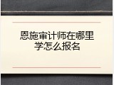 恩施审计师在哪里学怎么报名