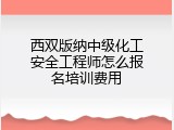 西双版纳中级化工安全工程师怎么报名培训费用