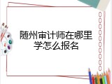 随州审计师在哪里学怎么报名