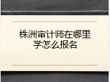 株洲审计师在哪里学怎么报名