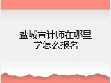 盐城审计师在哪里学怎么报名