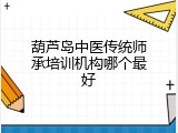 葫芦岛中医传统师承培训机构哪个最好