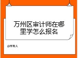 万州区审计师在哪里学怎么报名