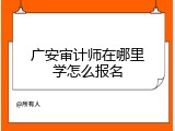 广安审计师在哪里学怎么报名
