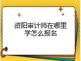 资阳审计师在哪里学怎么报名