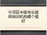 宁河区中医专长医师培训机构哪个最好