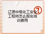辽源中级化工安全工程师怎么报名培训费用