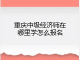 重庆中级经济师在哪里学怎么报名