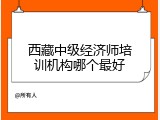 西藏中级经济师培训机构哪个最好