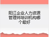 阳江企业人力资源管理师培训机构哪个最好