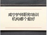 咸宁护师职称培训机构哪个最好