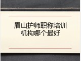 眉山护师职称培训机构哪个最好
