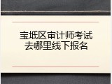 宝坻区审计师考试去哪里线下报名