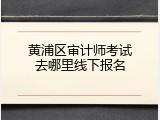 黄浦区审计师考试去哪里线下报名