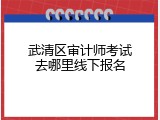 武清区审计师考试去哪里线下报名