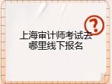 上海审计师考试去哪里线下报名