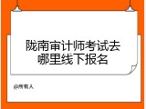 陇南审计师考试去哪里线下报名