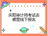 庆阳审计师考试去哪里线下报名