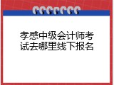 孝感中级会计师考试去哪里线下报名
