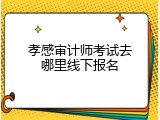 孝感审计师考试去哪里线下报名