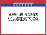 孝感心理咨询师考试去哪里线下报名