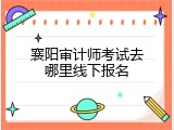 襄阳审计师考试去哪里线下报名