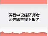 黄石中级经济师考试去哪里线下报名