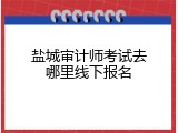 盐城审计师考试去哪里线下报名