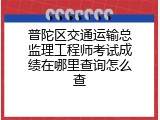 普陀区交通运输总监理工程师考试成绩在哪里查询怎么查