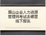 眉山企业人力资源管理师考试去哪里线下报名