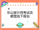 乐山审计师考试去哪里线下报名