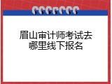 眉山审计师考试去哪里线下报名