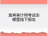 宜宾审计师考试去哪里线下报名